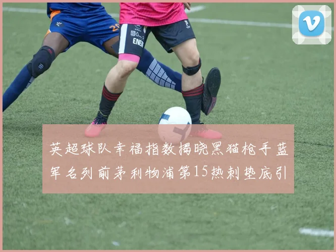 英超球队幸福指数揭晓黑猫枪手蓝军名列前茅利物浦第15热刺垫底引关注