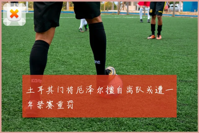 土耳其门将厄泽尔擅自离队或遭一年禁赛重罚